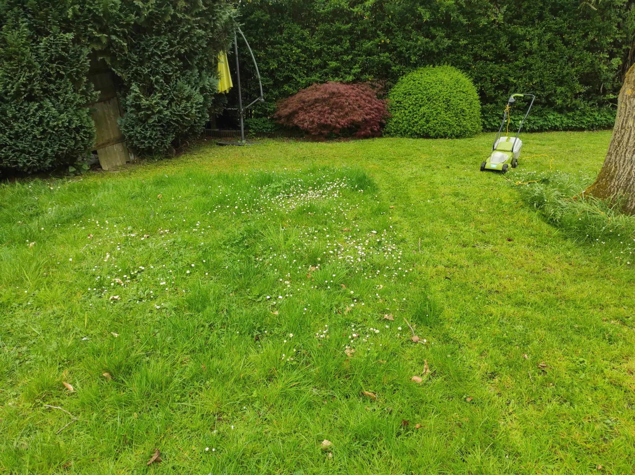 Imagen 21 — photo 21