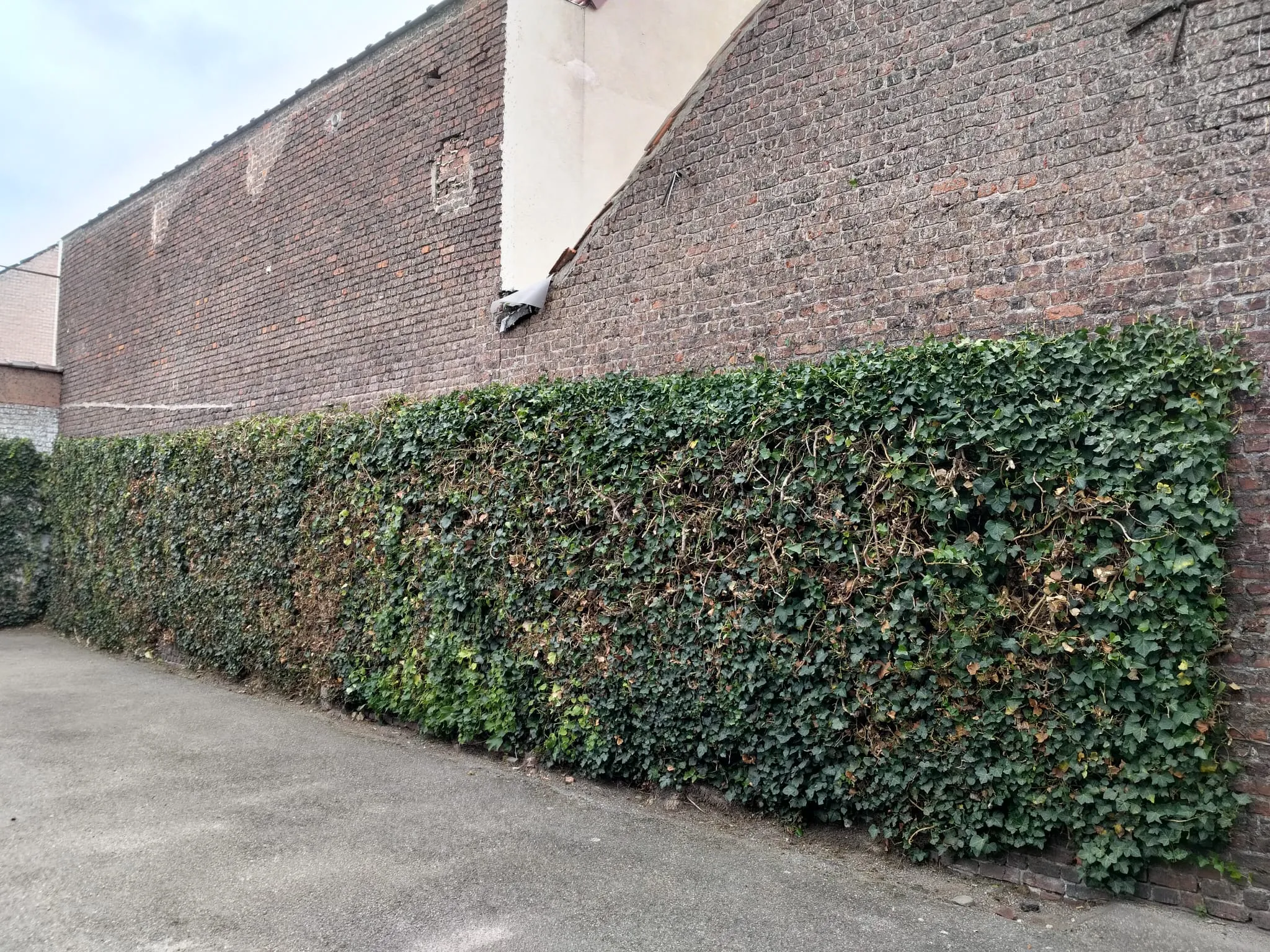 Imagen 21 — photo 5
